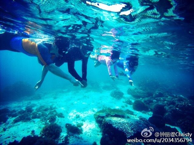 全民烧脑3去广告版